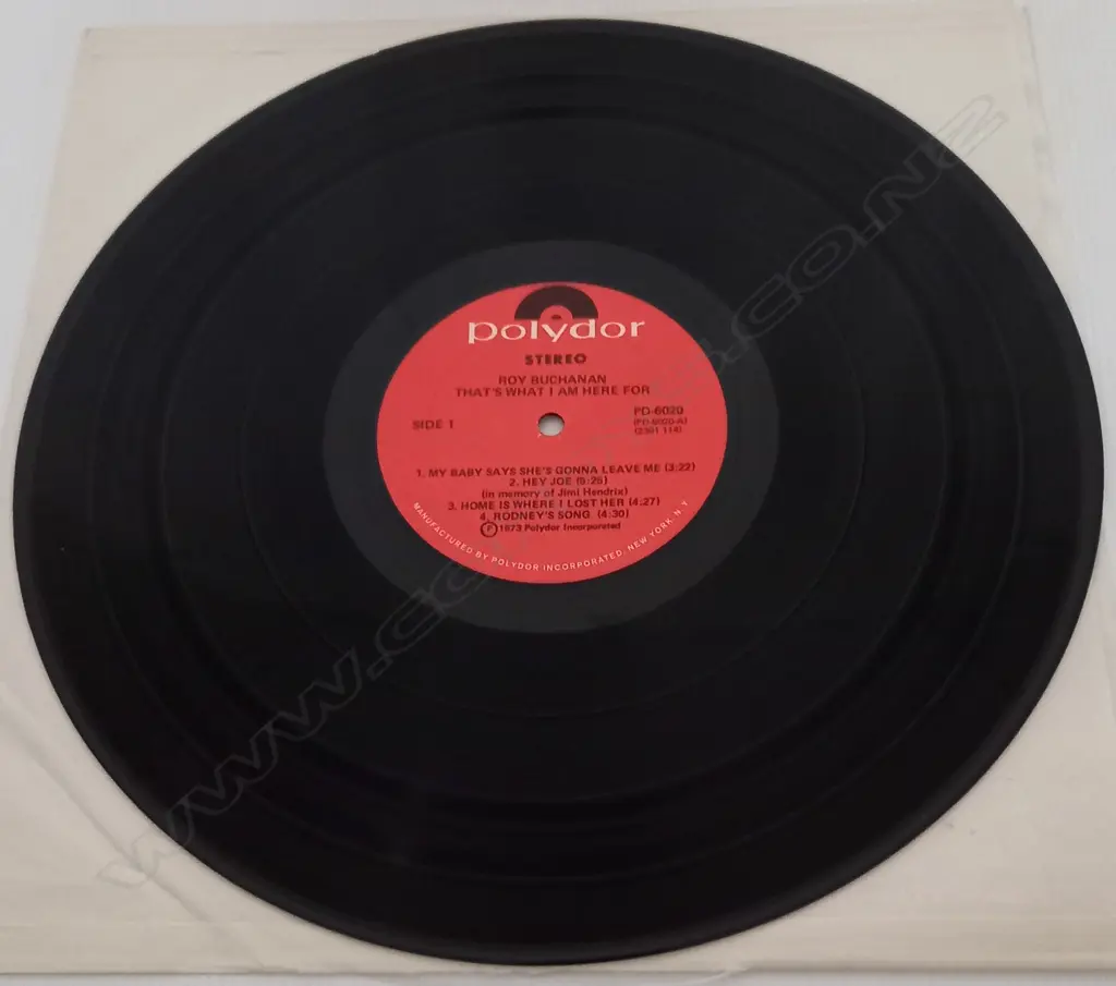 Roy Buchanan, That's What I Am Here For Image 1++
